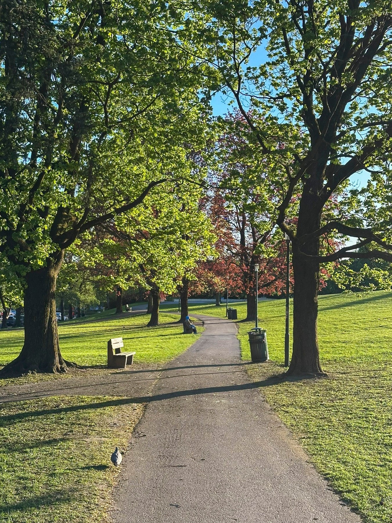 Det er umiddelbar nærhet til flotte parker og friarealer. Galleribilde