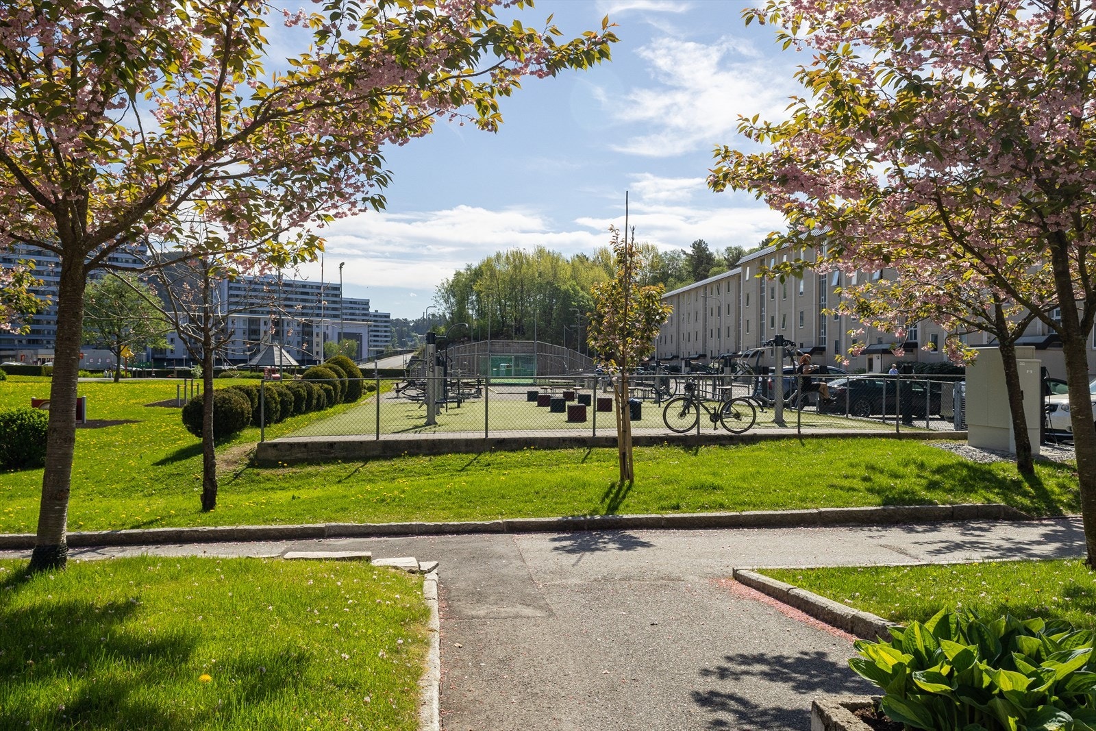 - Koselige grønne miljøer utenfor døren - Galleribilde