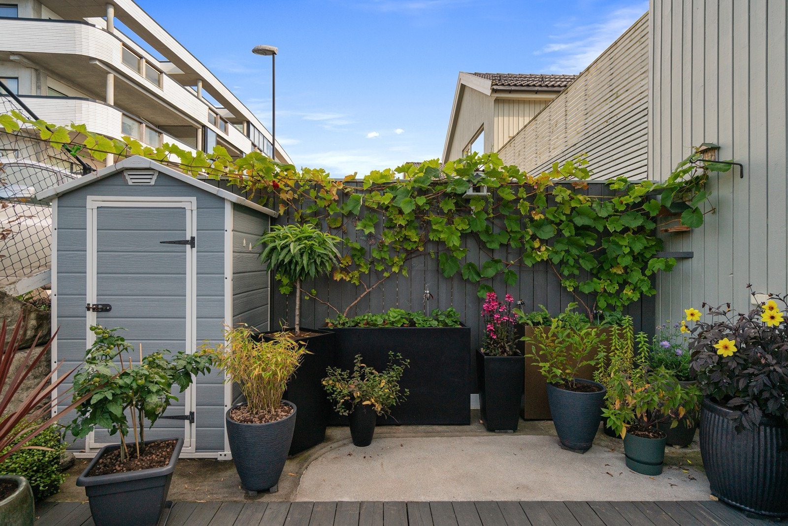Terrasse Galleribilde