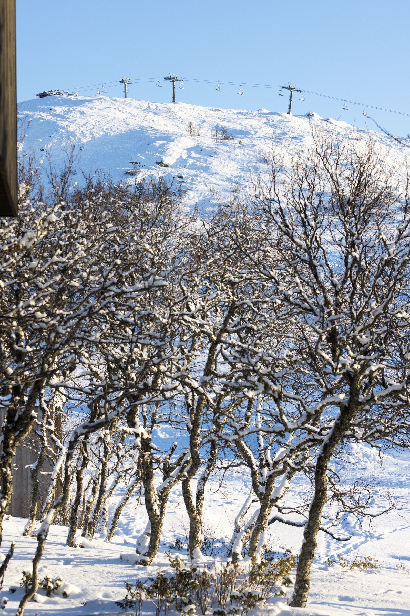 Utsikt over toppen av skiheisen fra terrassen Galleribilde