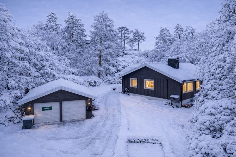 *Bilde er AI generert* Galleribilde