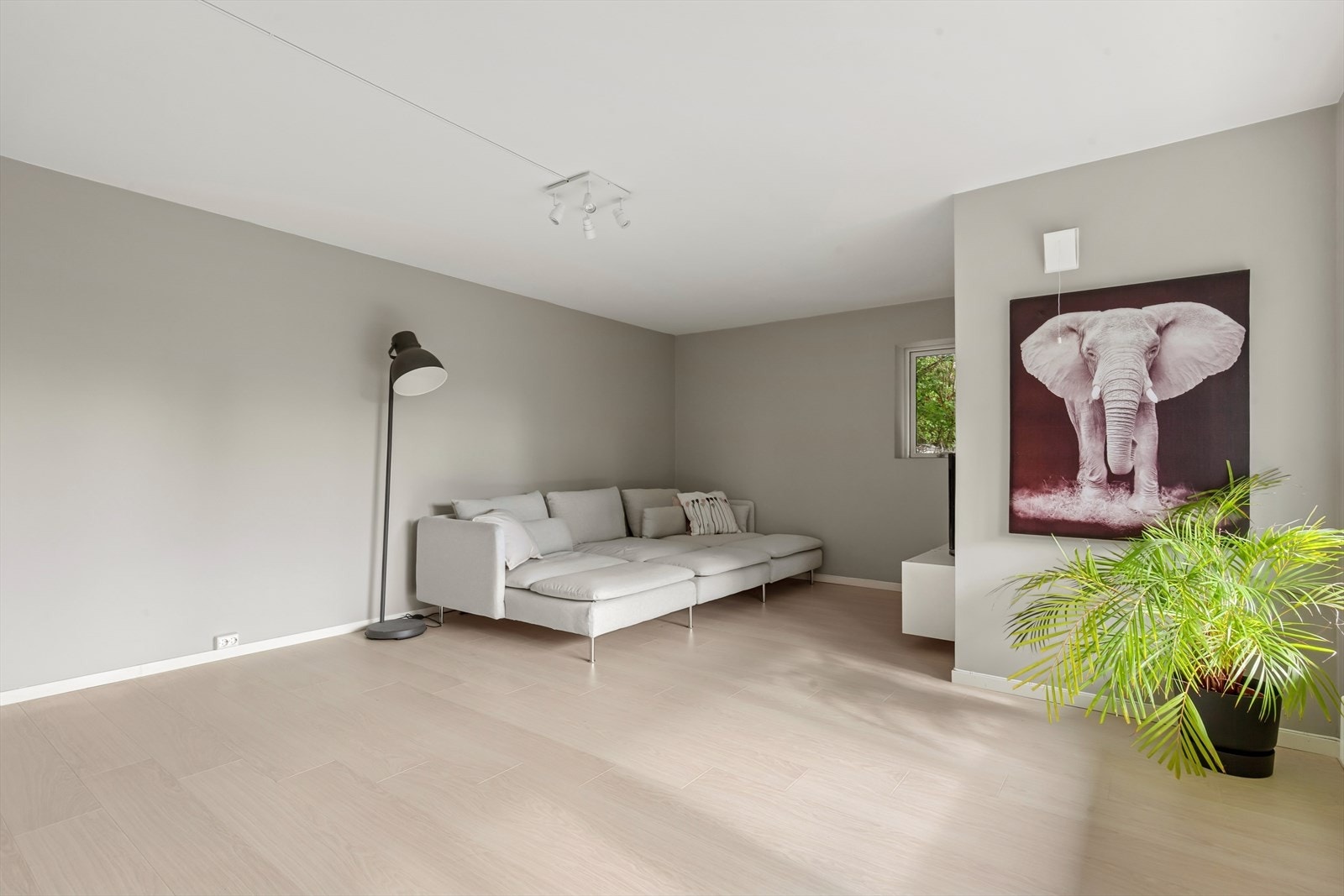 Underetasjen har stor stue, en ekstra stue kan gi ytterligere spillerom og privatliv for alle i familien. Galleribilde