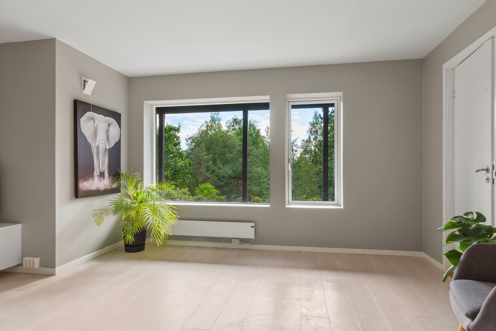 Rause vindusflater. Galleribilde