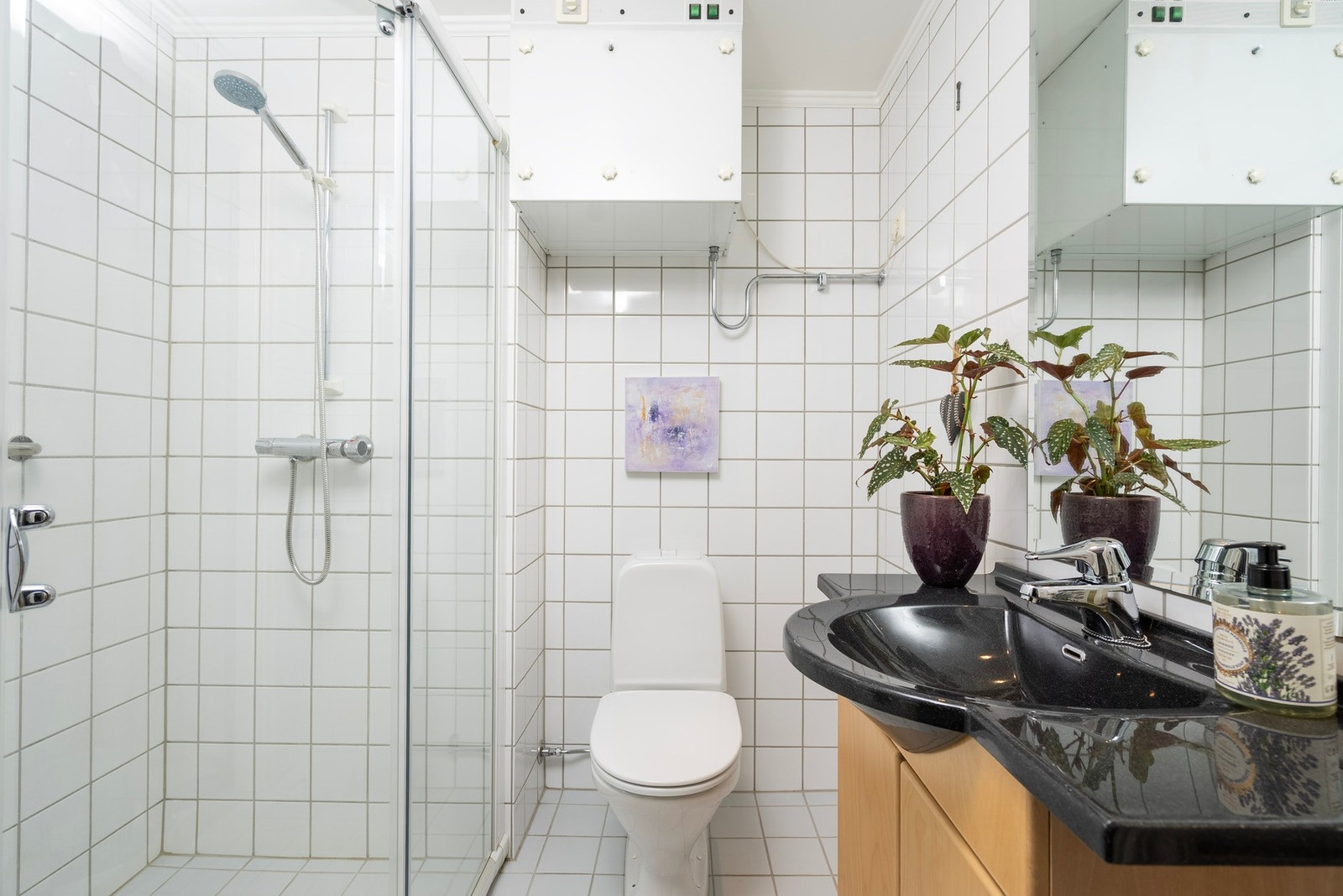 Gjestebad Galleribilde