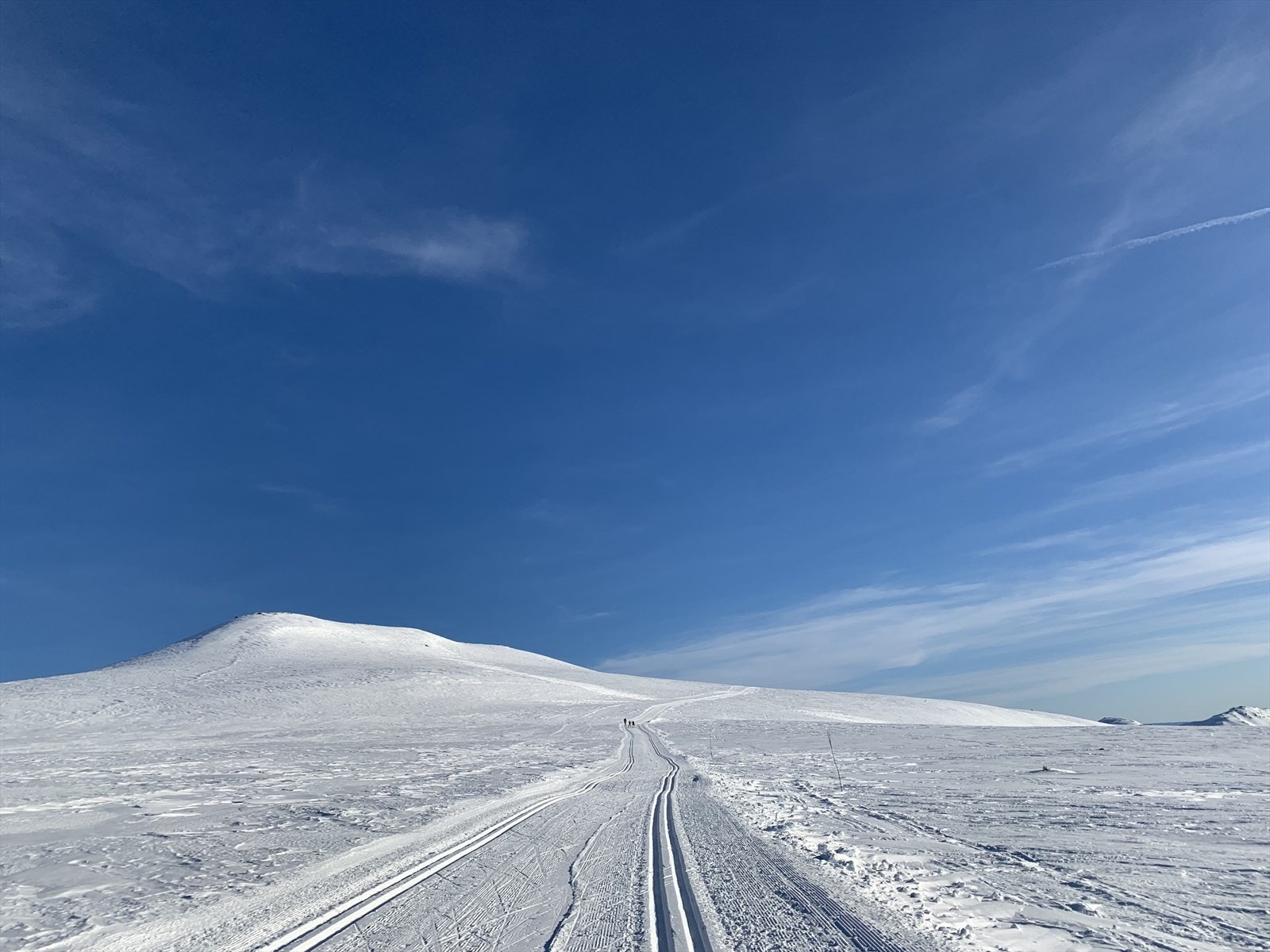 Slepeskaret. Galleribilde