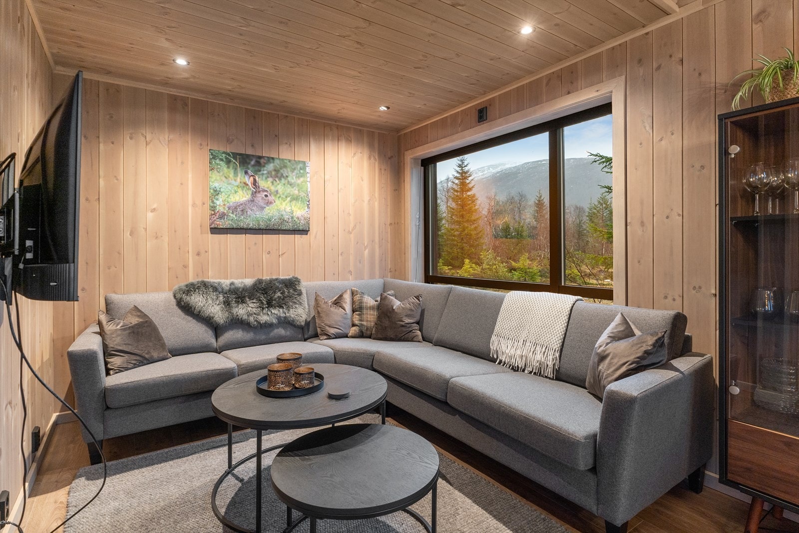 Eigen TV-krok er ypperlig for storfamilien! Galleribilde