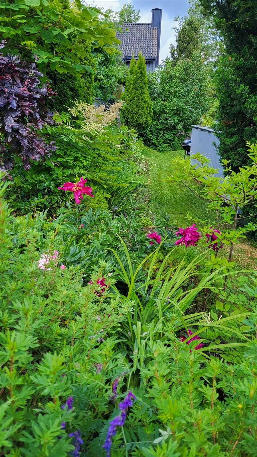 Grønn lunge rundt huset med bugnende blomsterbed og lune hageganger. Galleribilde