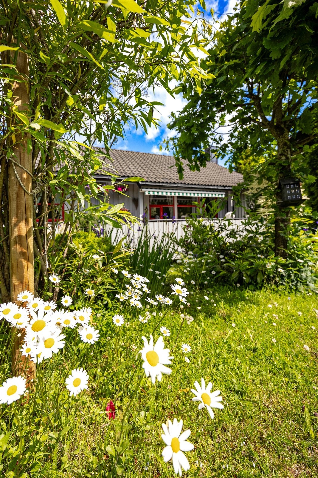 Blomstrende hage med idylliske detaljer gir boligen en sjarmerende og privat ramme. Galleribilde