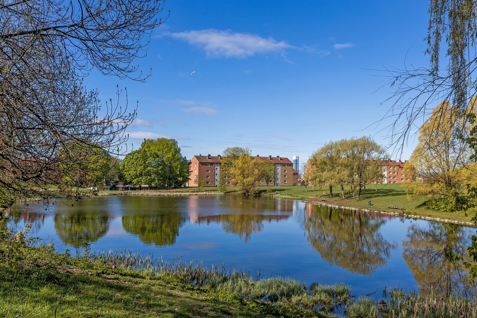 Hovindammen Galleribilde