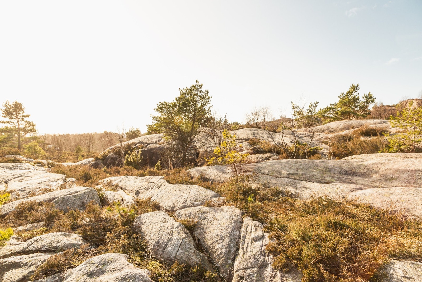 Tomten består av 2 gårds- og bruksnummer. Galleribilde