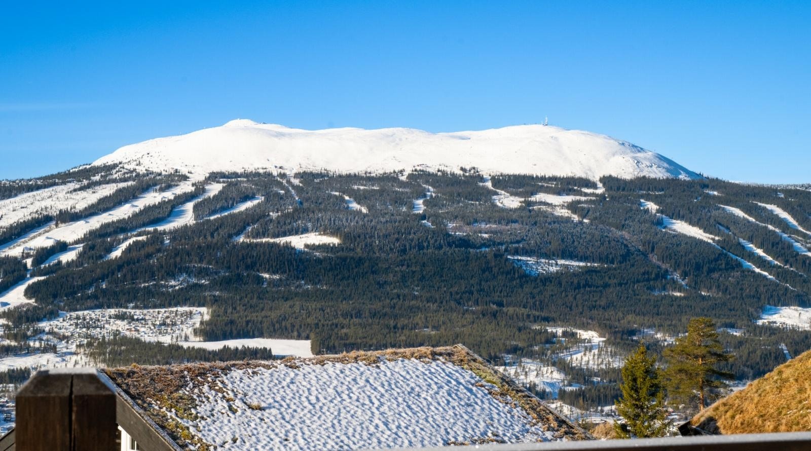 Gedigen utsikt mot Trysilfjellet fra terrassen! Galleribilde