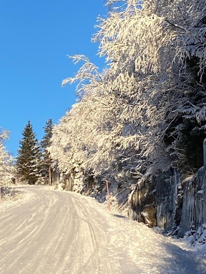 På vei opp mot hytta. Galleribilde