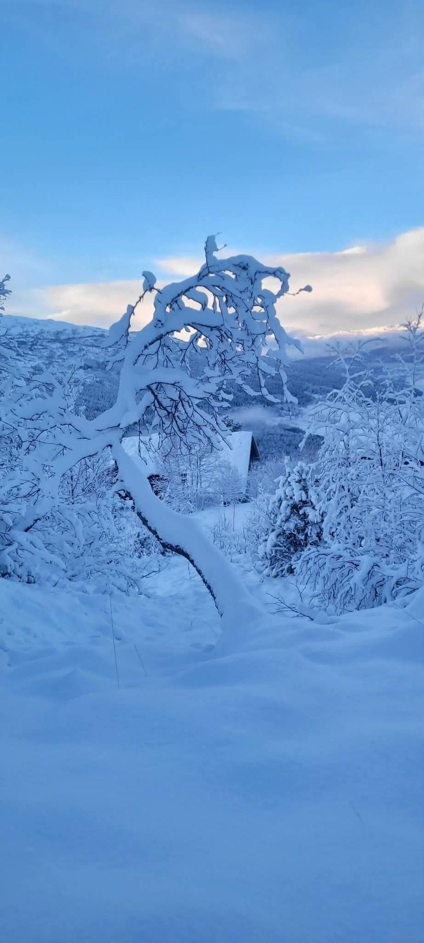 Vinterstemning på Litrane. Galleribilde