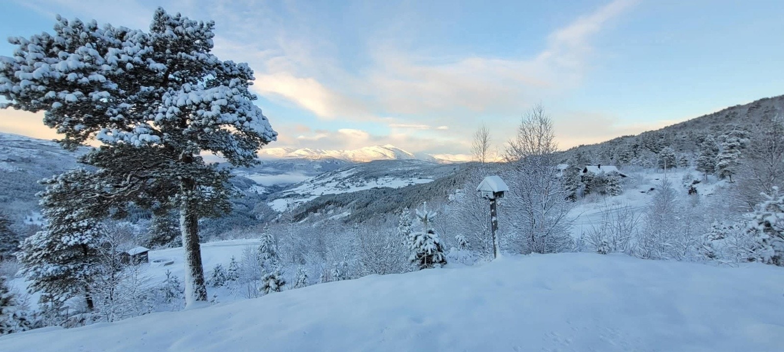 Vinterstemning på tomta. Galleribilde