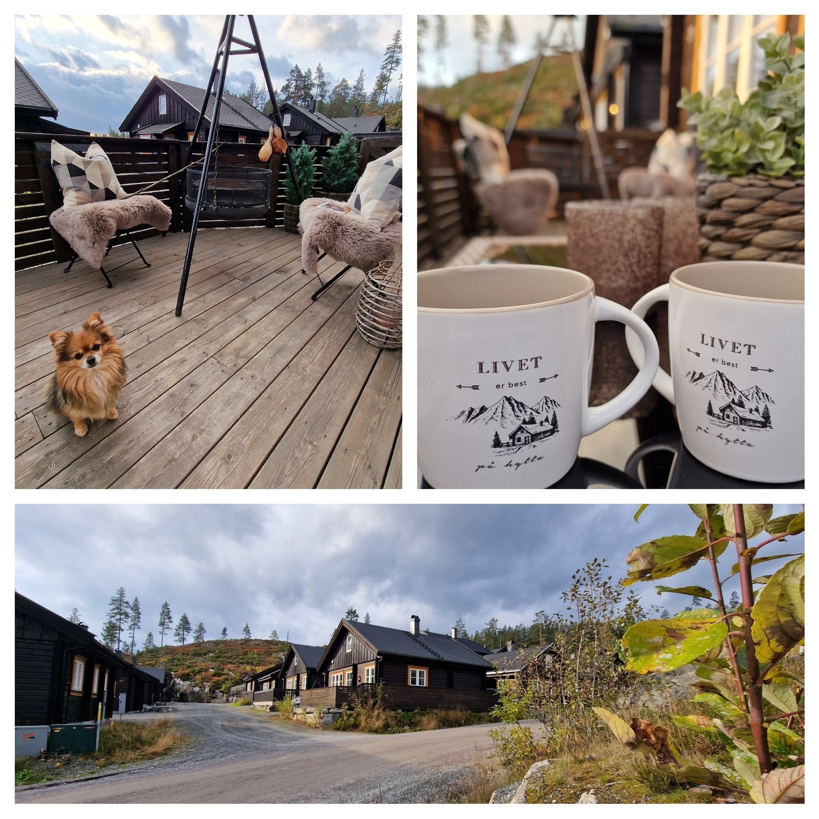 Livet er best på hytta! For både store og små! Galleribilde