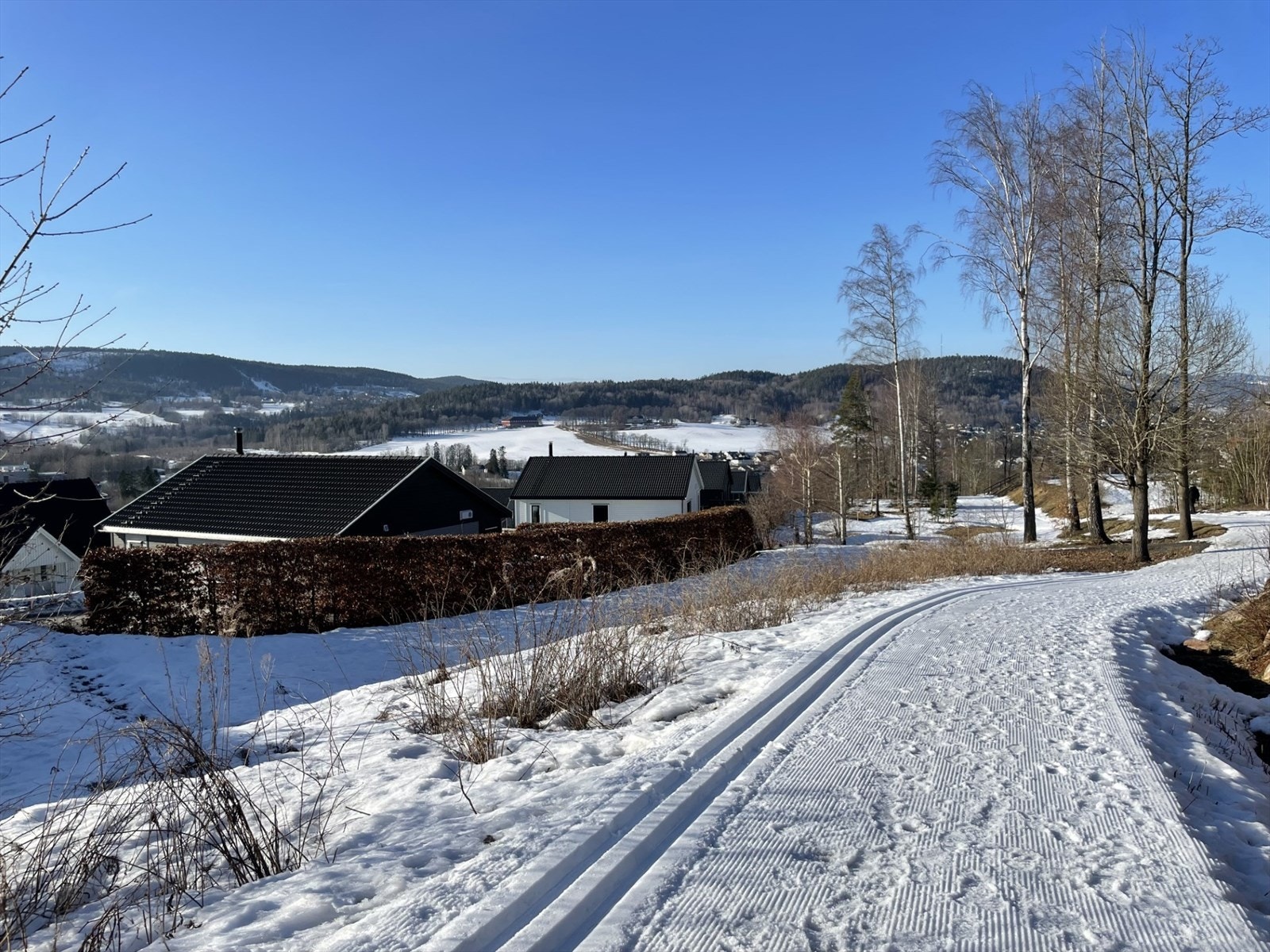 På vinterstid kjøres det skiløyper rett fra boligfeltet og innover Røysjømarka Galleribilde