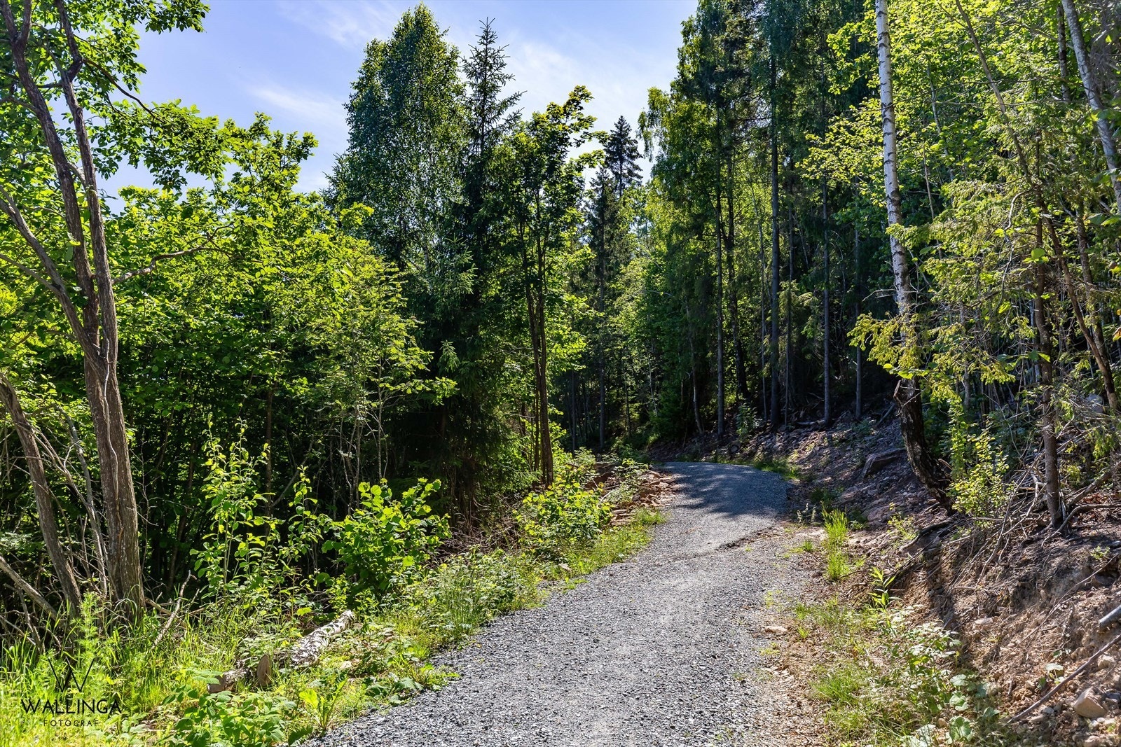 Nærområdet byr på flotte tur- og rekreasjonsområder Galleribilde