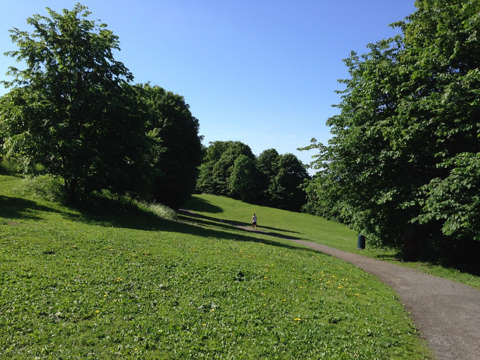 (privat bilde) Ola Narr parken, som ligger innen ti minutters gange fra leiligheten. Galleribilde