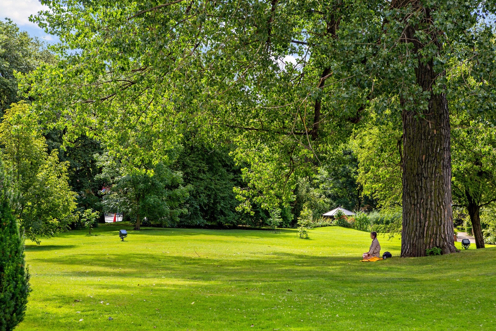 Fra boligen er det ikke lang vei til Tøyen Botaniske Hage, en av mange parker i området. Galleribilde