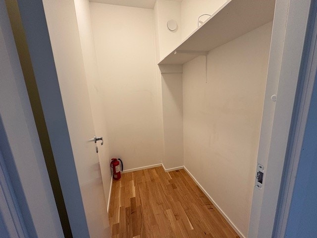 Innvendig bod Galleribilde