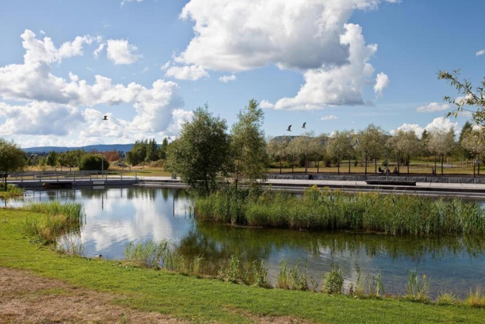 Nansenparken, Fornebus grønne lunge i sentrum av halvøya Galleribilde