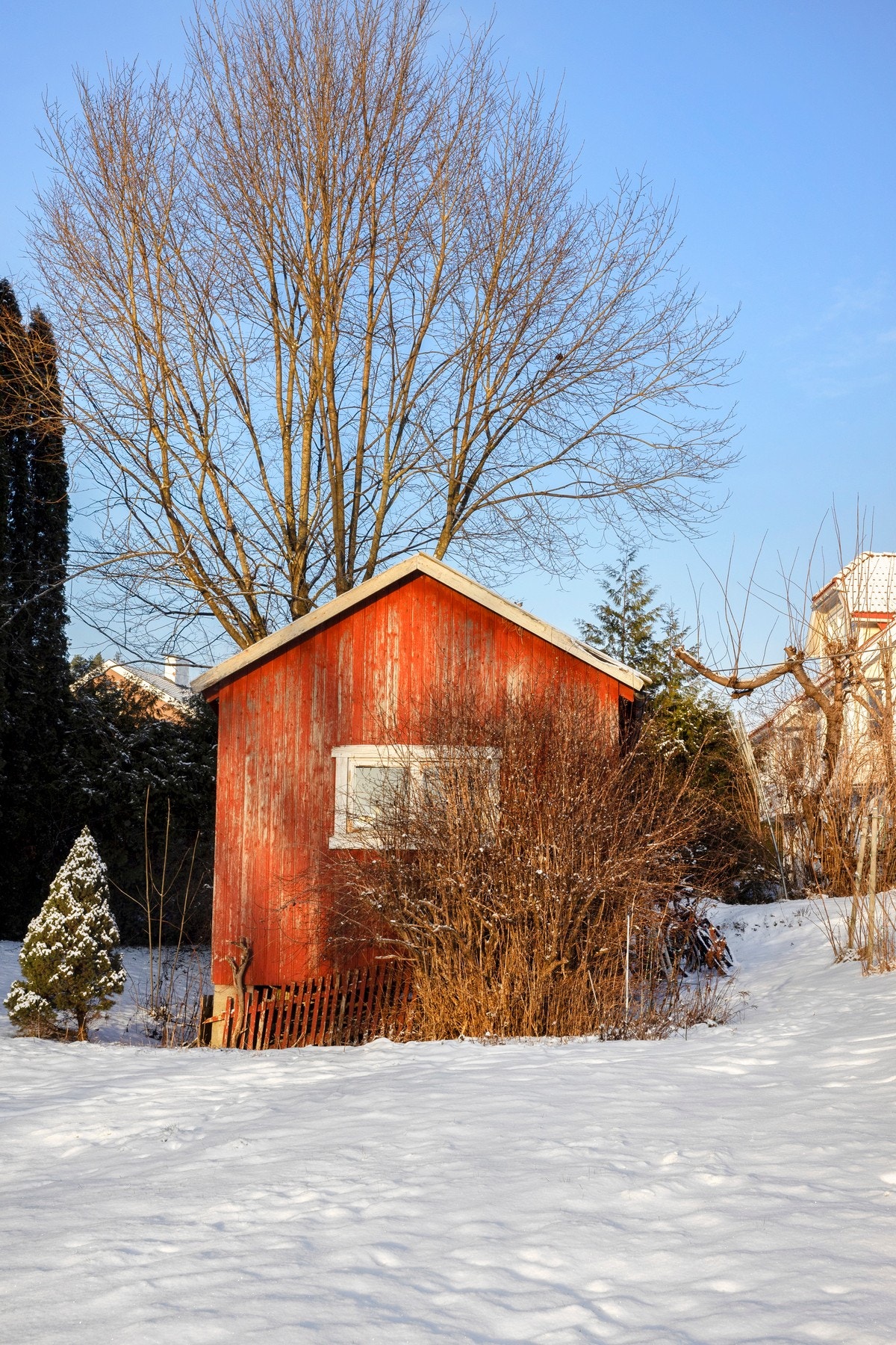 Uthuset er praktisk for lagring. Galleribilde