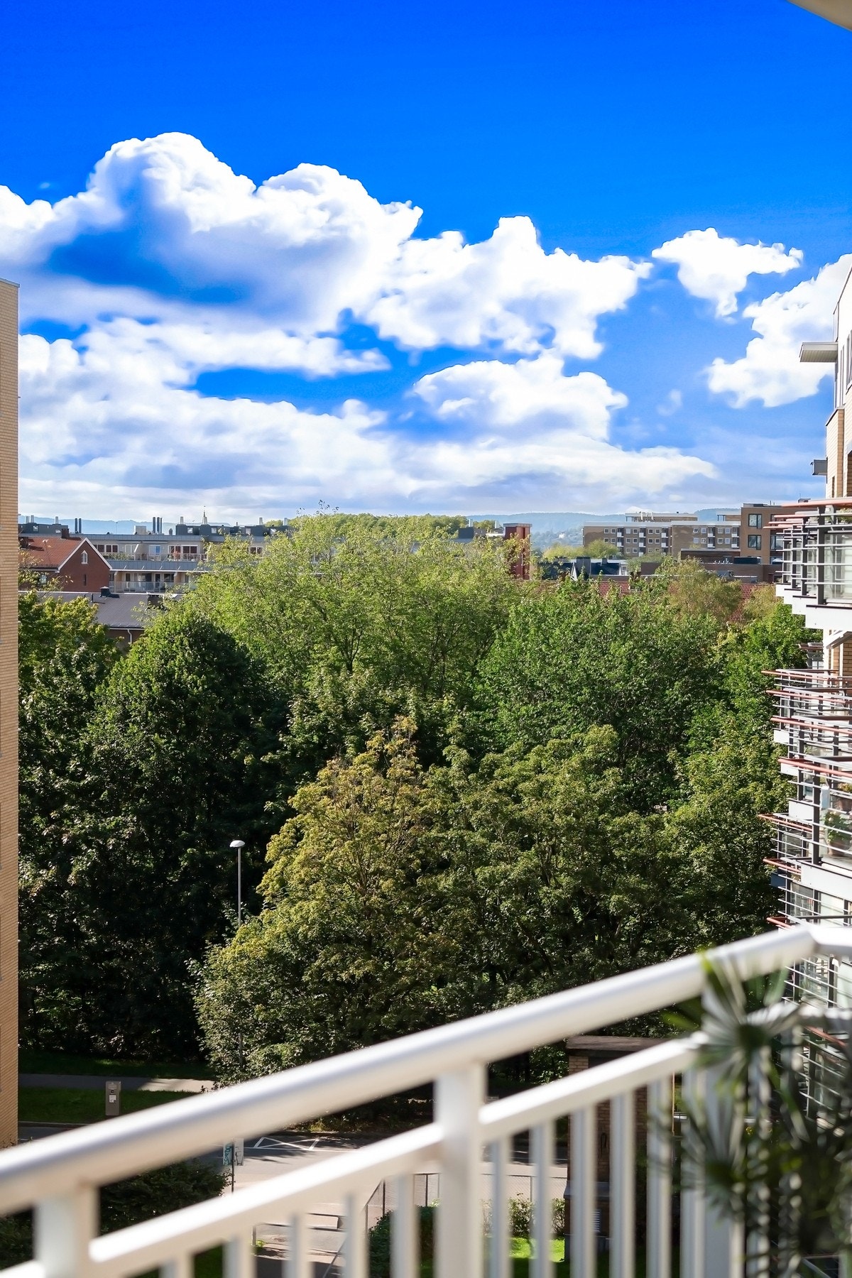 Frodig utsyn. Galleribilde