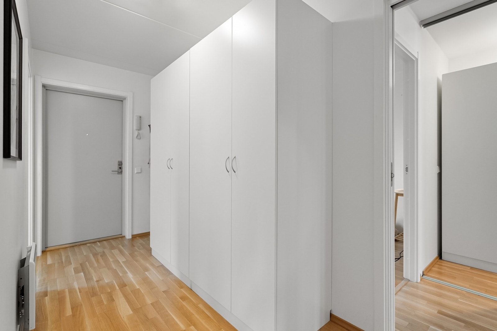 Brann- og lyd klassifisert entrédør. Galleribilde