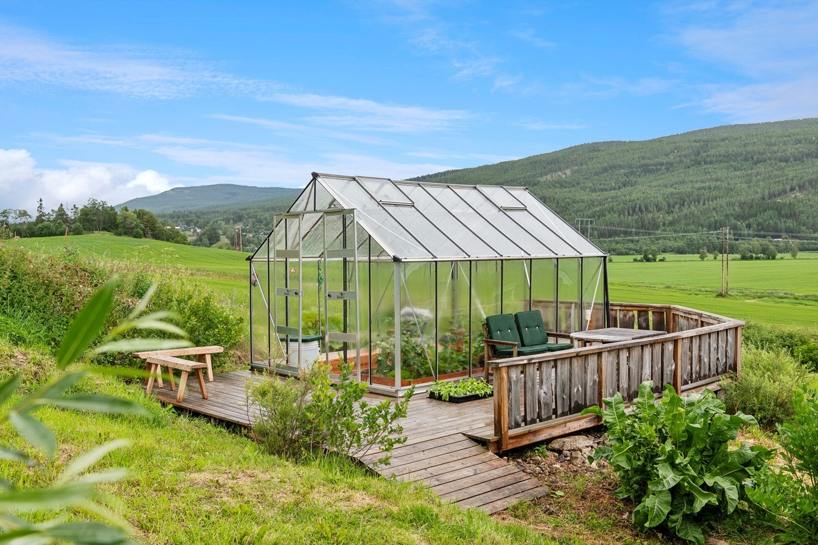 Drivhus Galleribilde