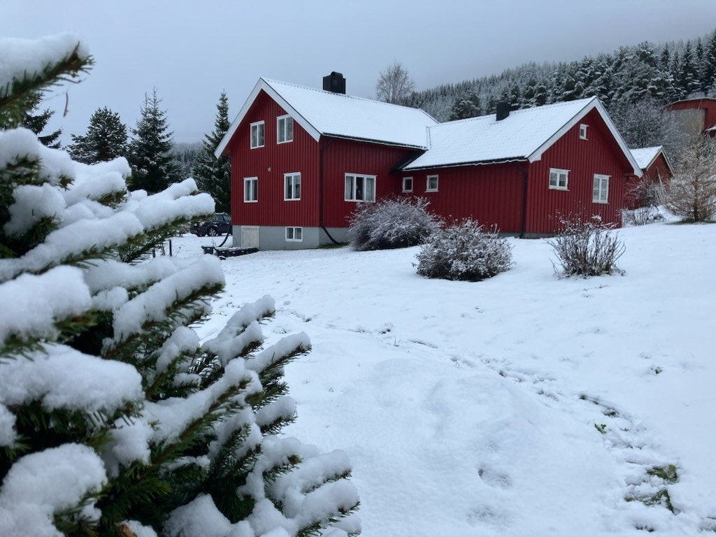 Velkommen til Gamle Kongevei 3806! Galleribilde