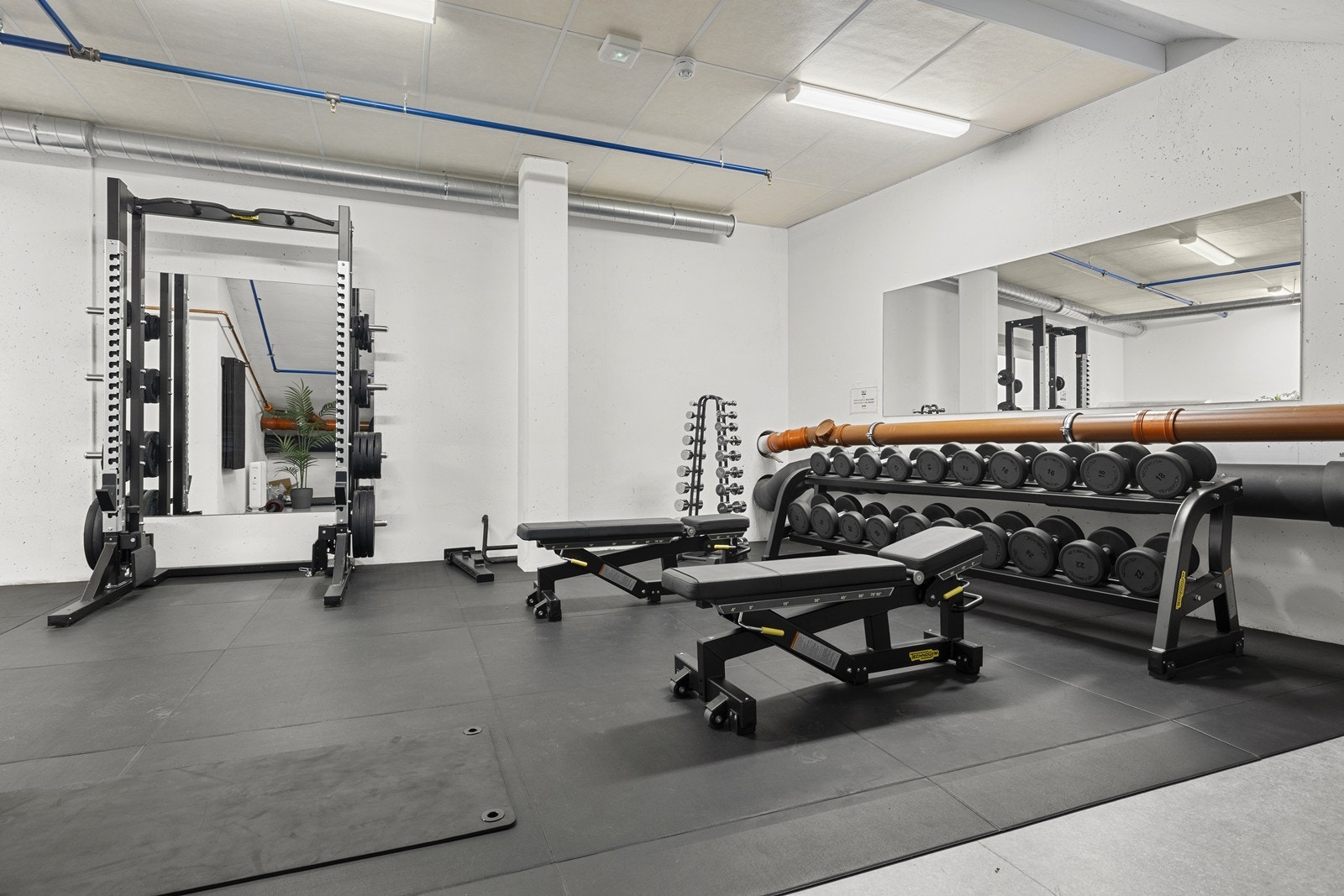 - din private snarvei til en aktiv og balansert hverdag Galleribilde