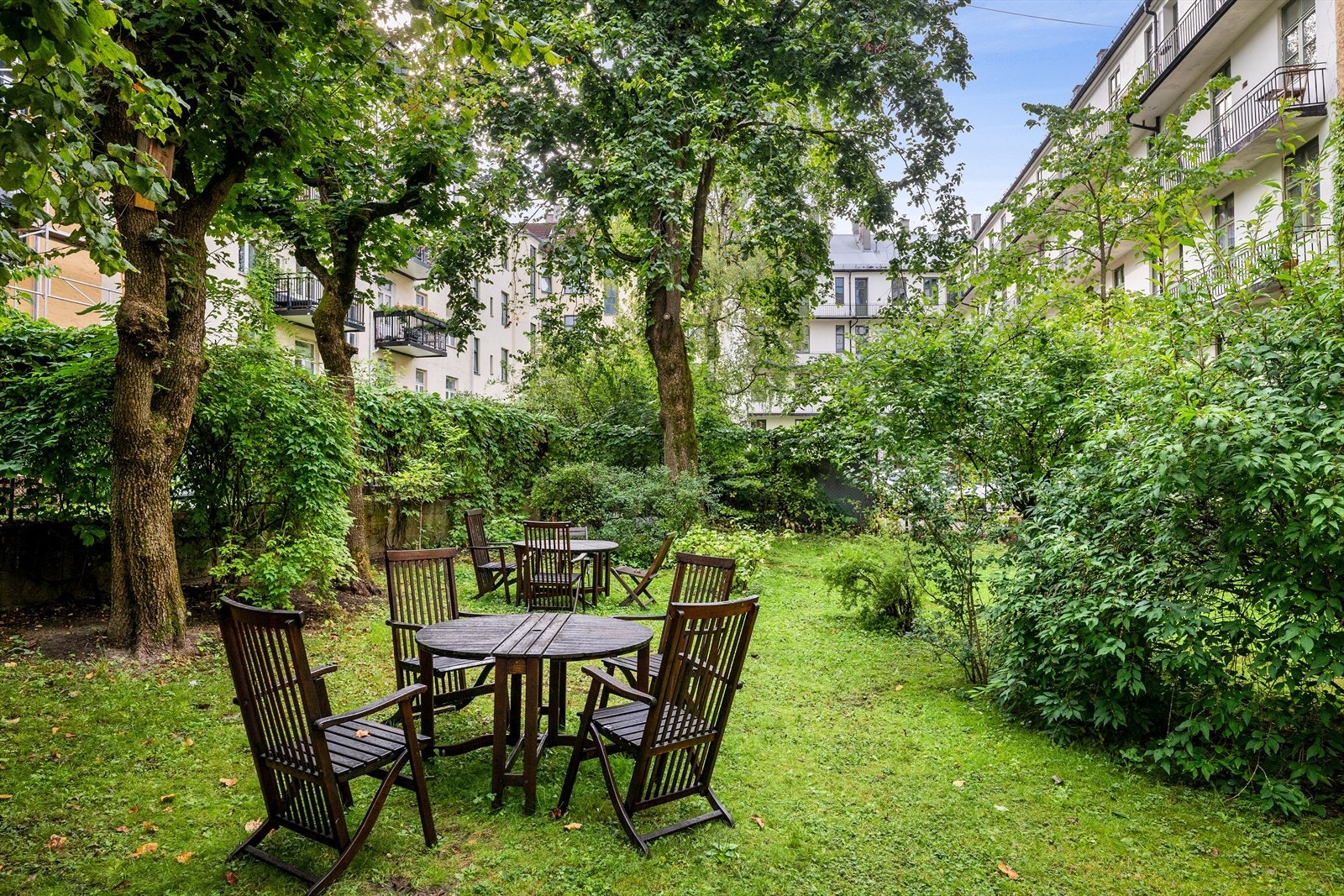 Sameiet har en frodig bakgård med flere sittegrupper og grill - Det er mulighet for egen plantekasse. Foto: Arne Schram Galleribilde