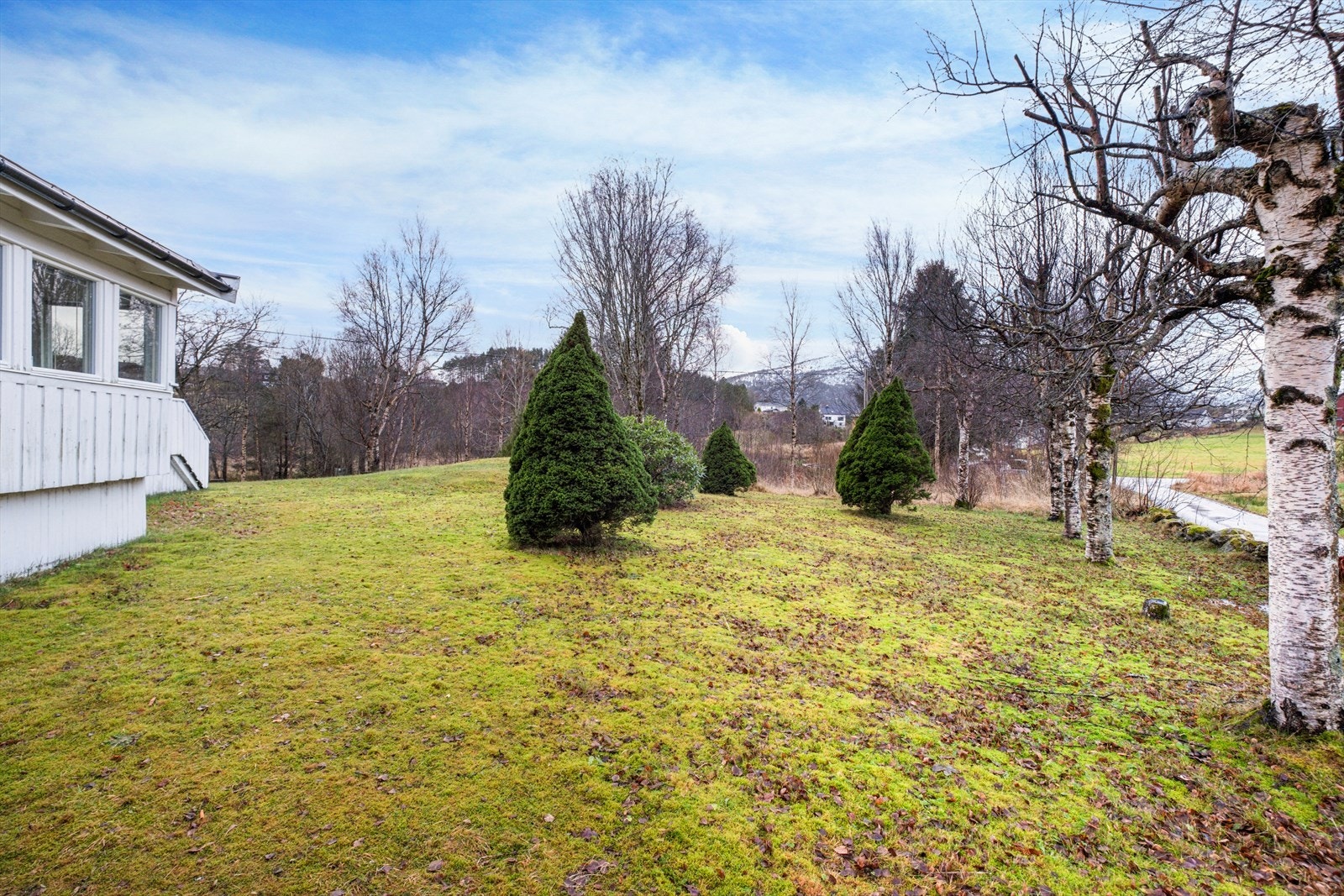 Eiendommen er godt skjermet med trær som gir en naturlig avgrensning mot omkringliggende områder. Galleribilde