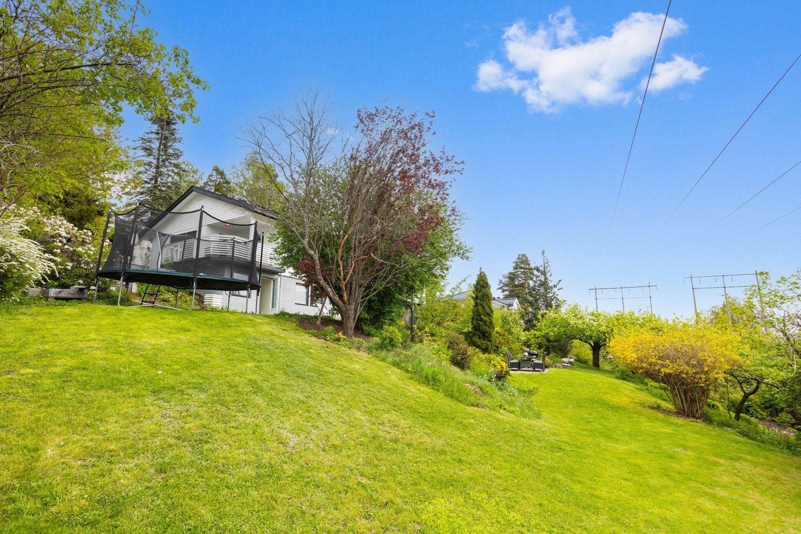 I hagen er det boltreplass for store og små Galleribilde
