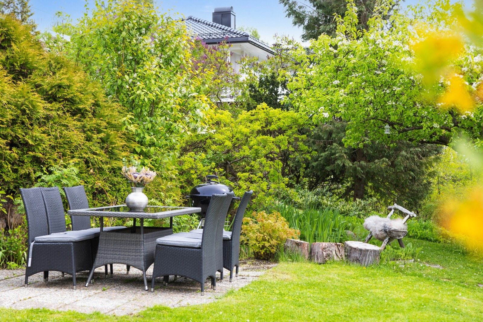 Fin blanding av eviggrønt og planter som blomstrer til ulik tid Galleribilde