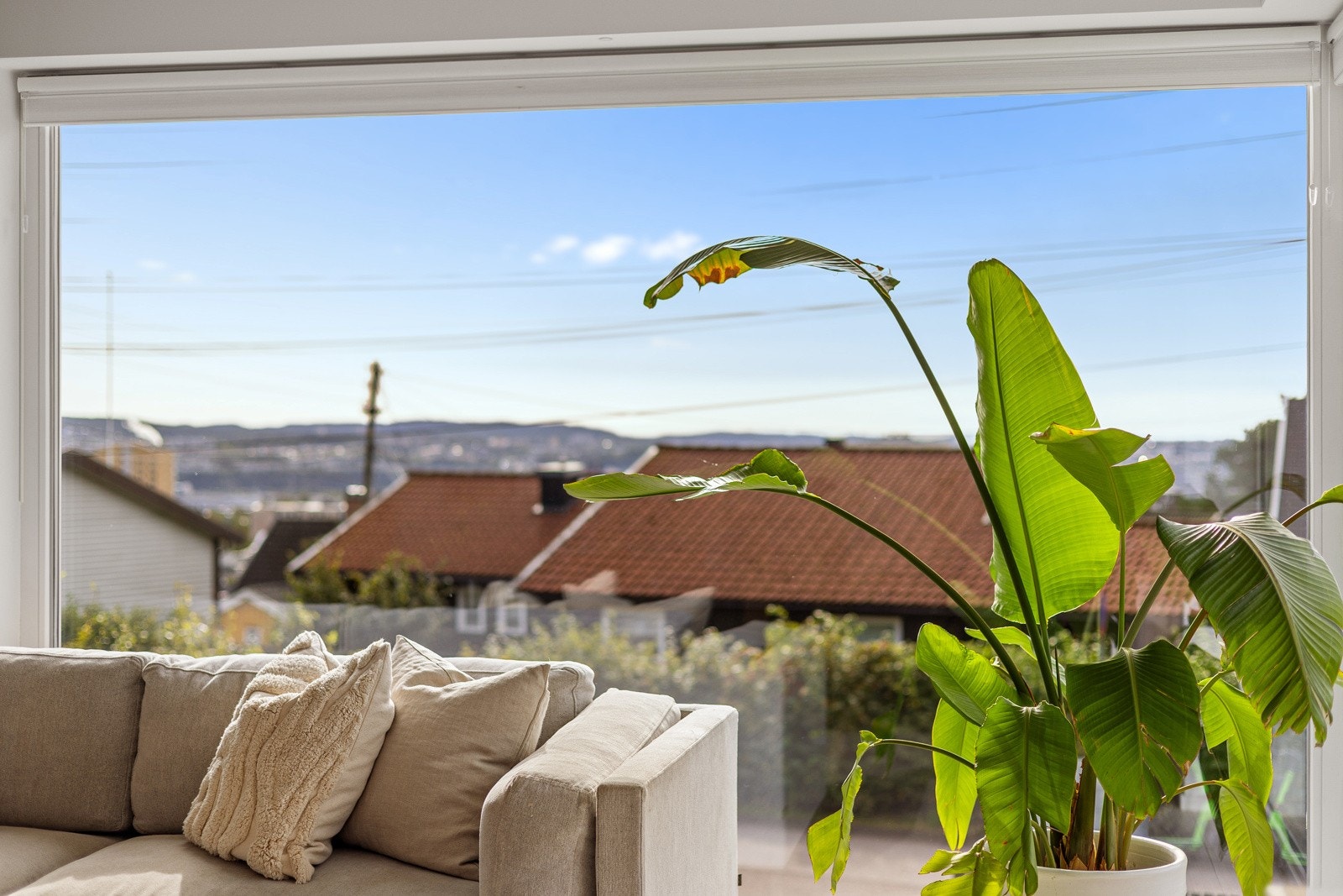 Vakker utsikt mot nabolaget og Oslo by. Galleribilde