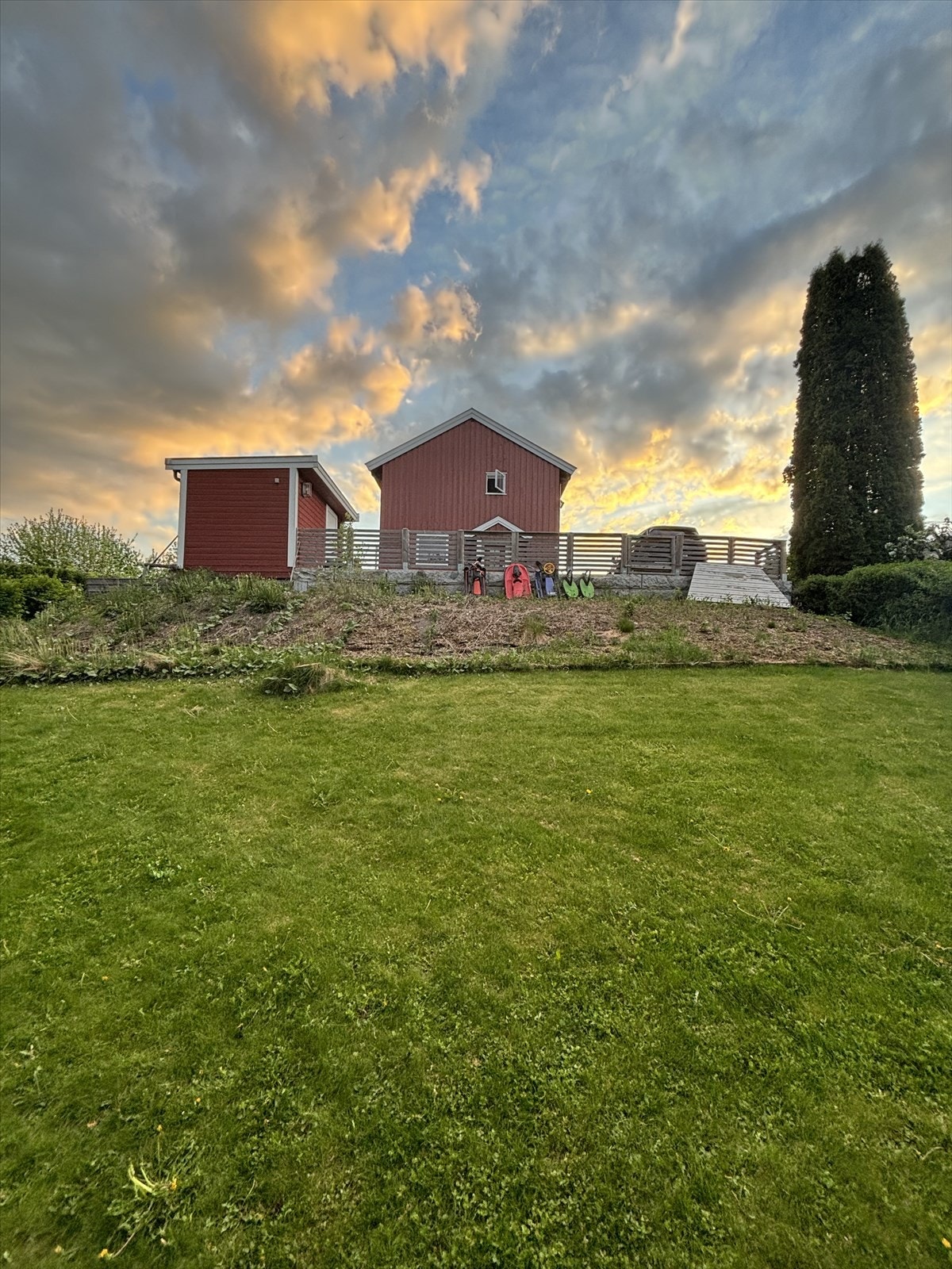 Selgers sommerbilde av hagen. Galleribilde