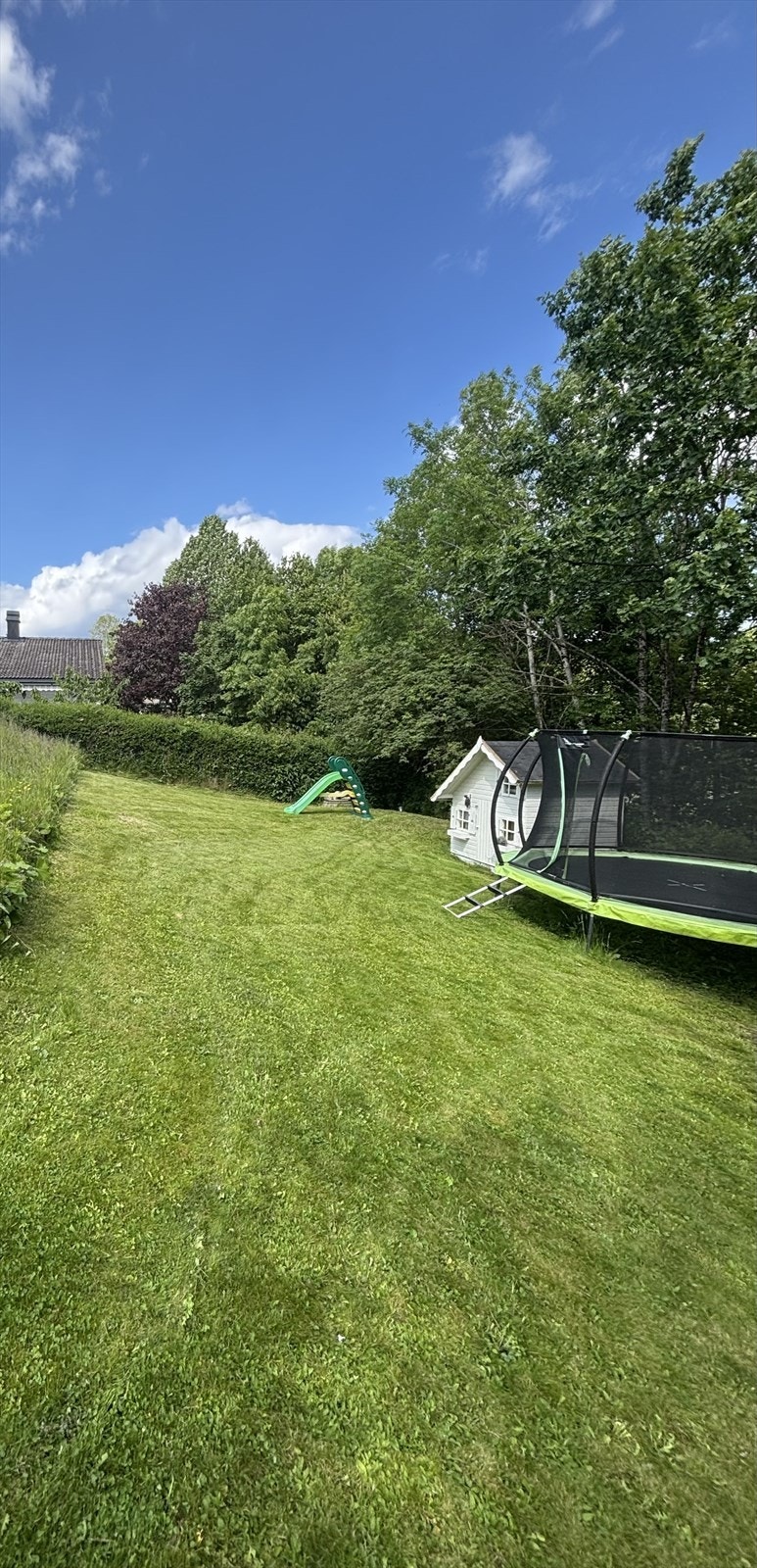 Selgers sommerbilde av hagen. Galleribilde