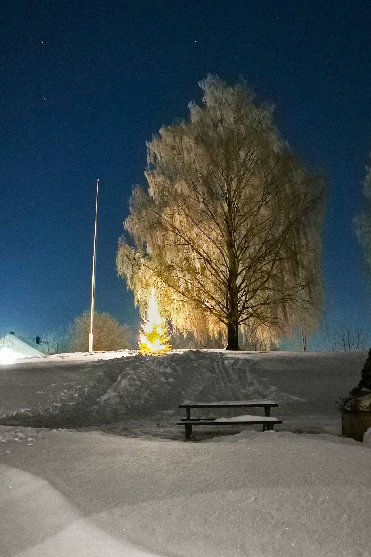 Et flott skue på vinterhalvåret. Bilde tatt av selger. Omtrentlig lik utsikten fra kjøkkenvinduet. Galleribilde