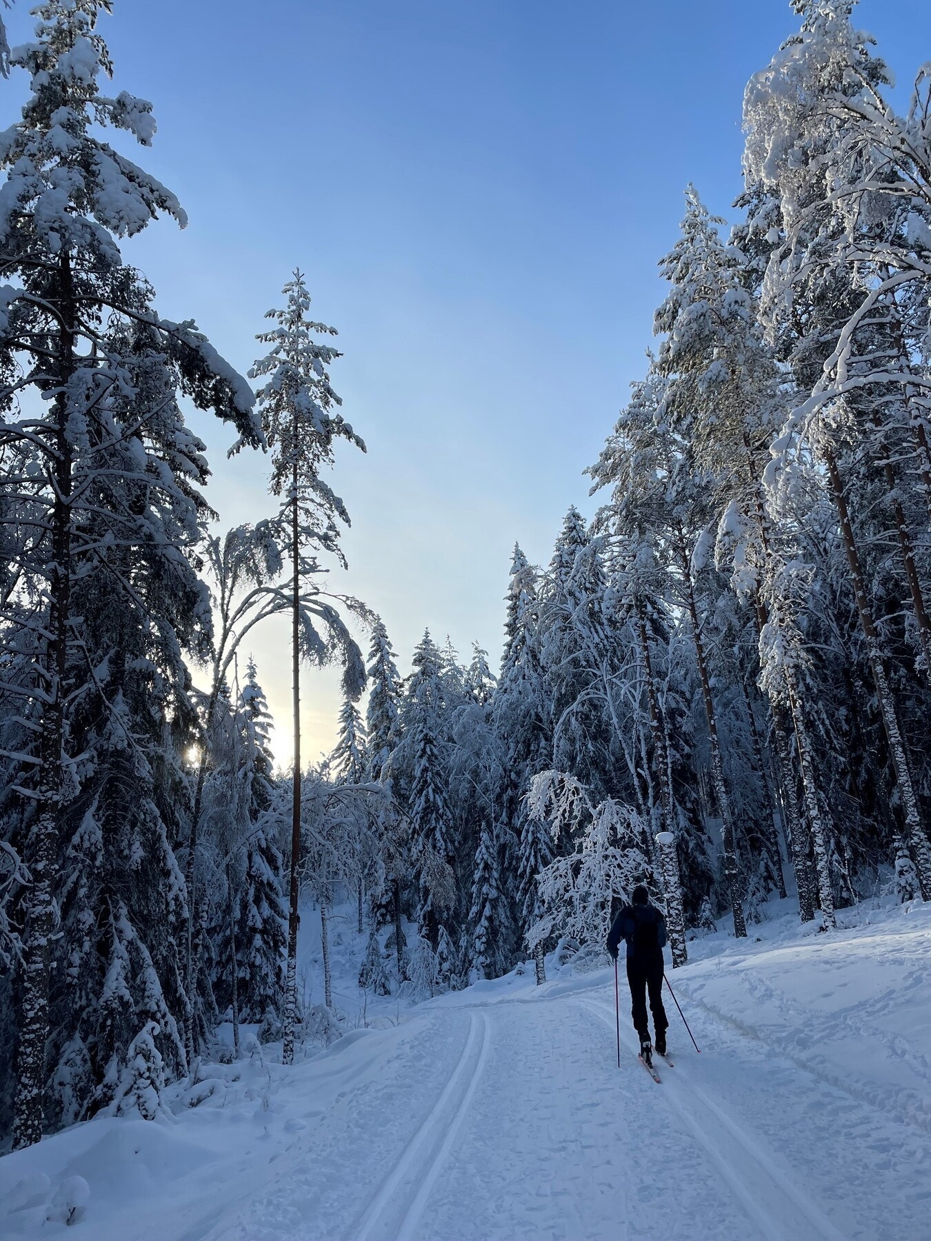 I Lillomarka er det lysløyper også, slik at du kan nyte naturen både tidlig og sent på dagen Galleribilde