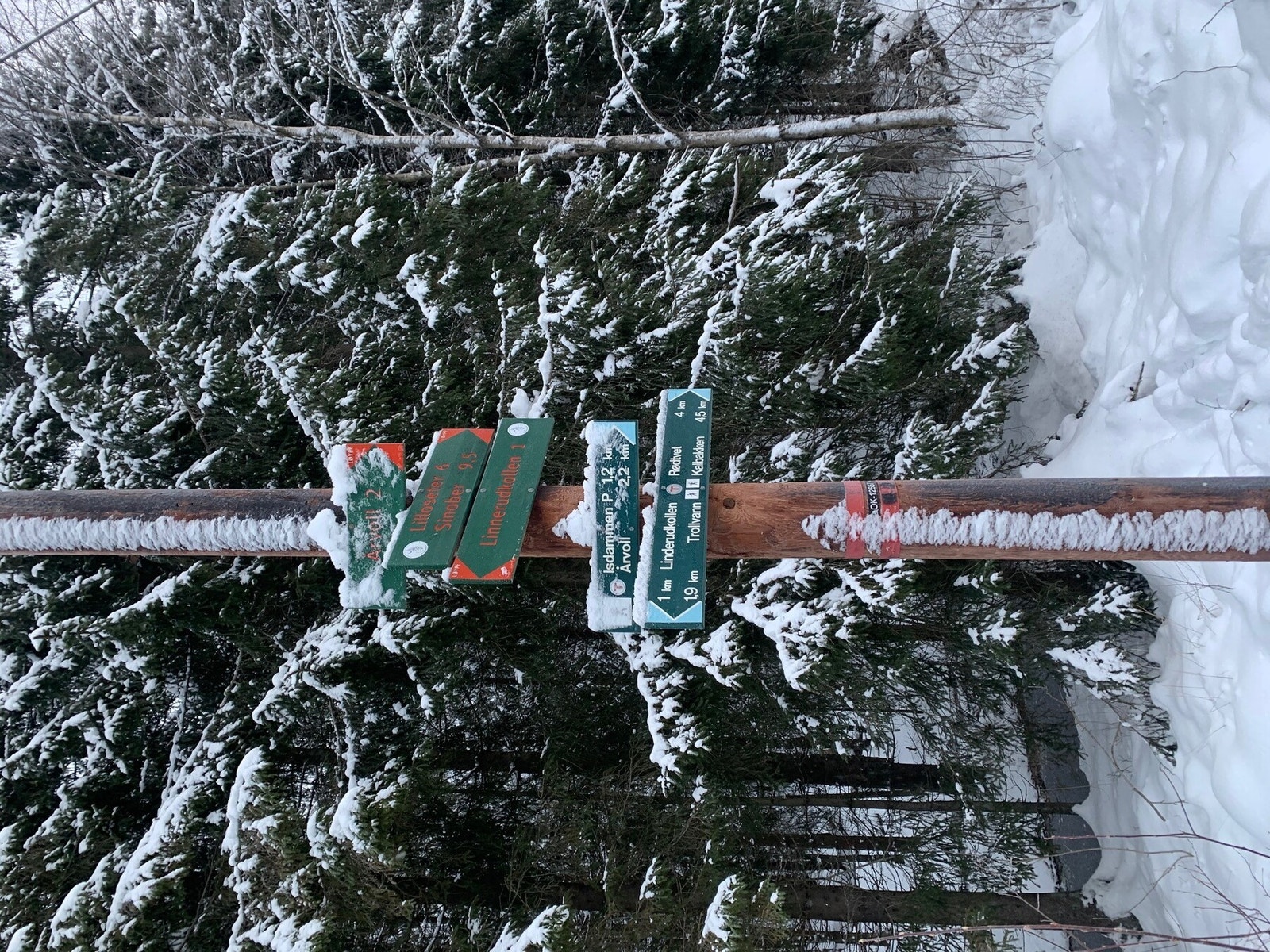 På vinterhalvåret ligger løypene for dine føtter - her kan du velge å vrake i preparerte løyper eller finne din egen. Lillomarka er fantastisk for deg som er glad i ski Galleribilde