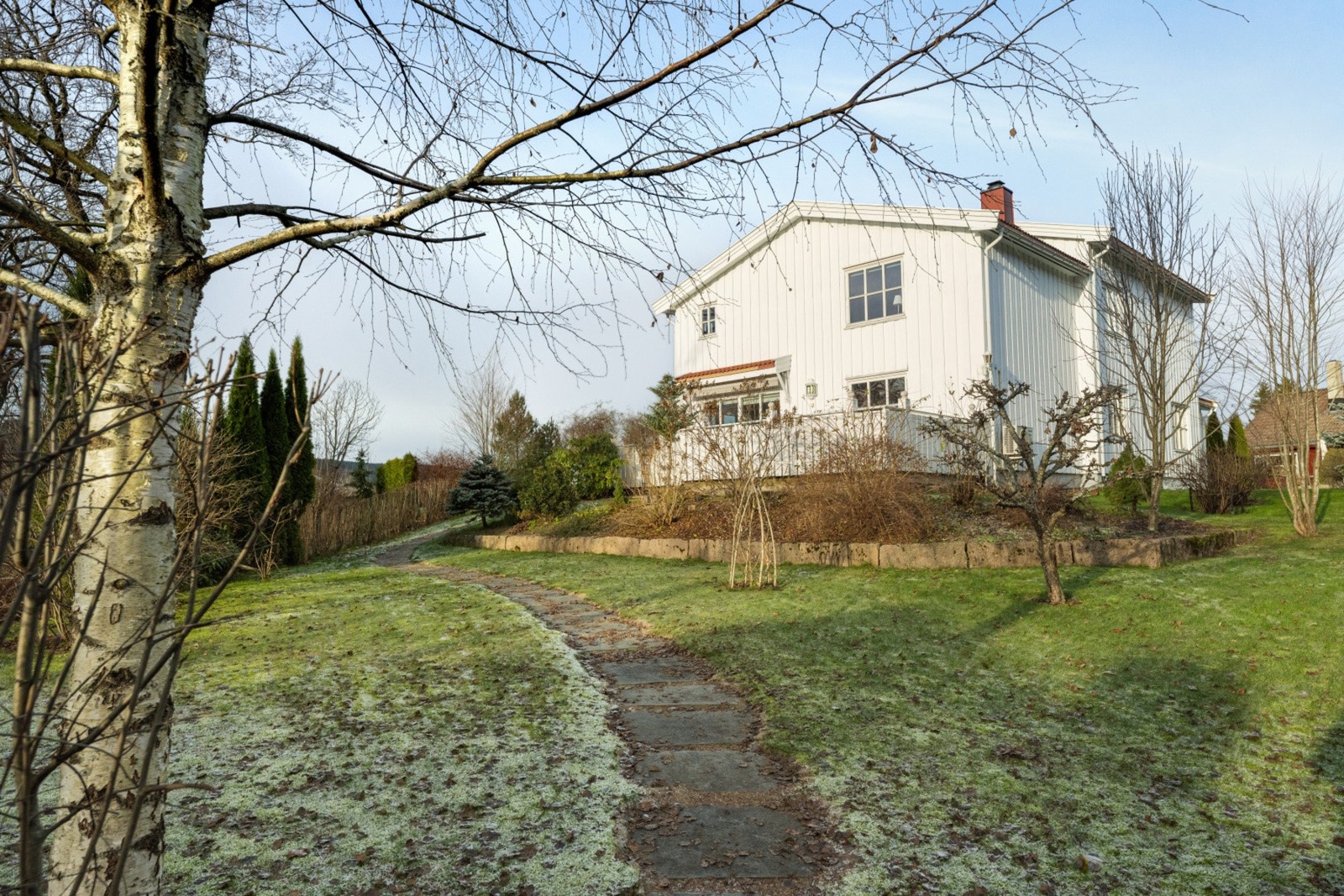 I hagen er det gamle frukttrær og bærbusker Galleribilde