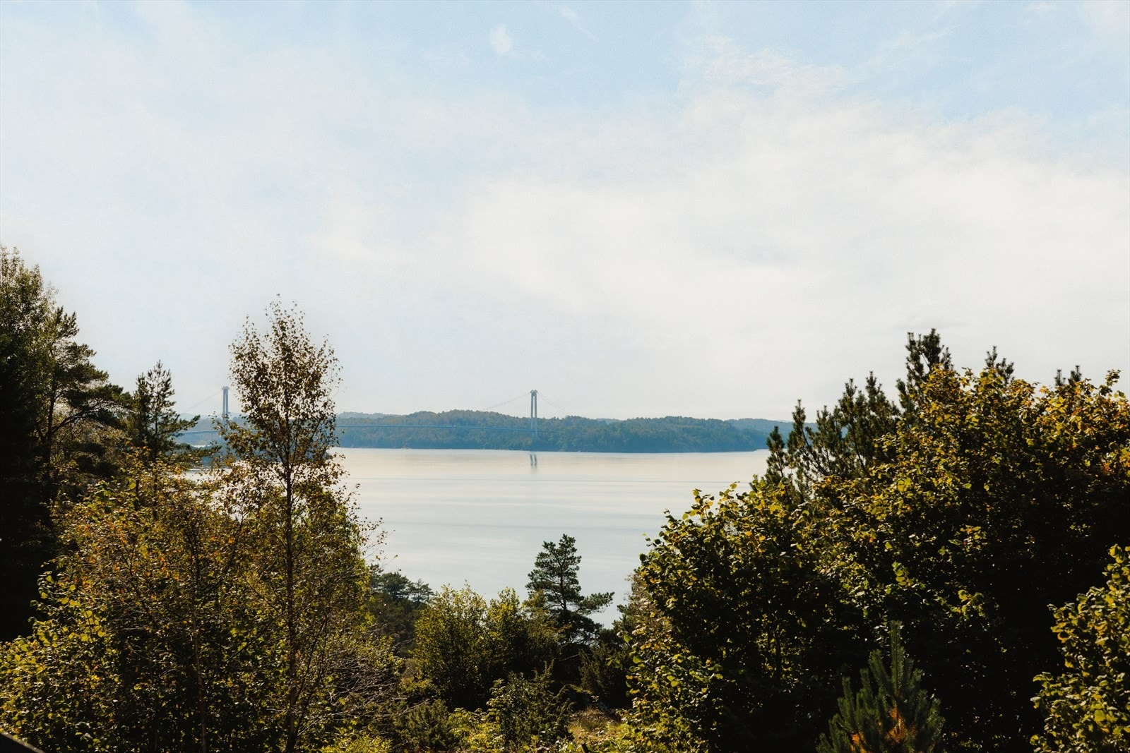 Herfra er det utsikt mot Spissøya, og i etterkant av at bildene ble tatt er det blitt fjernet ytterligere med skog, noe som gir en enda bedre og mer åpen utsikt mot sjøen Galleribilde