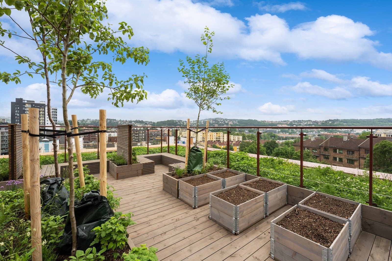 Felles takterrasse Galleribilde