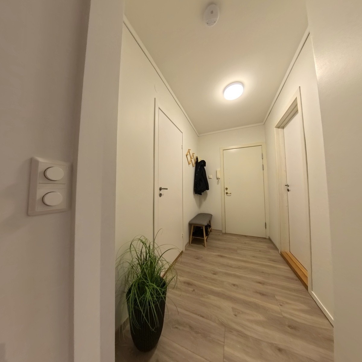 inngangsdør Galleribilde