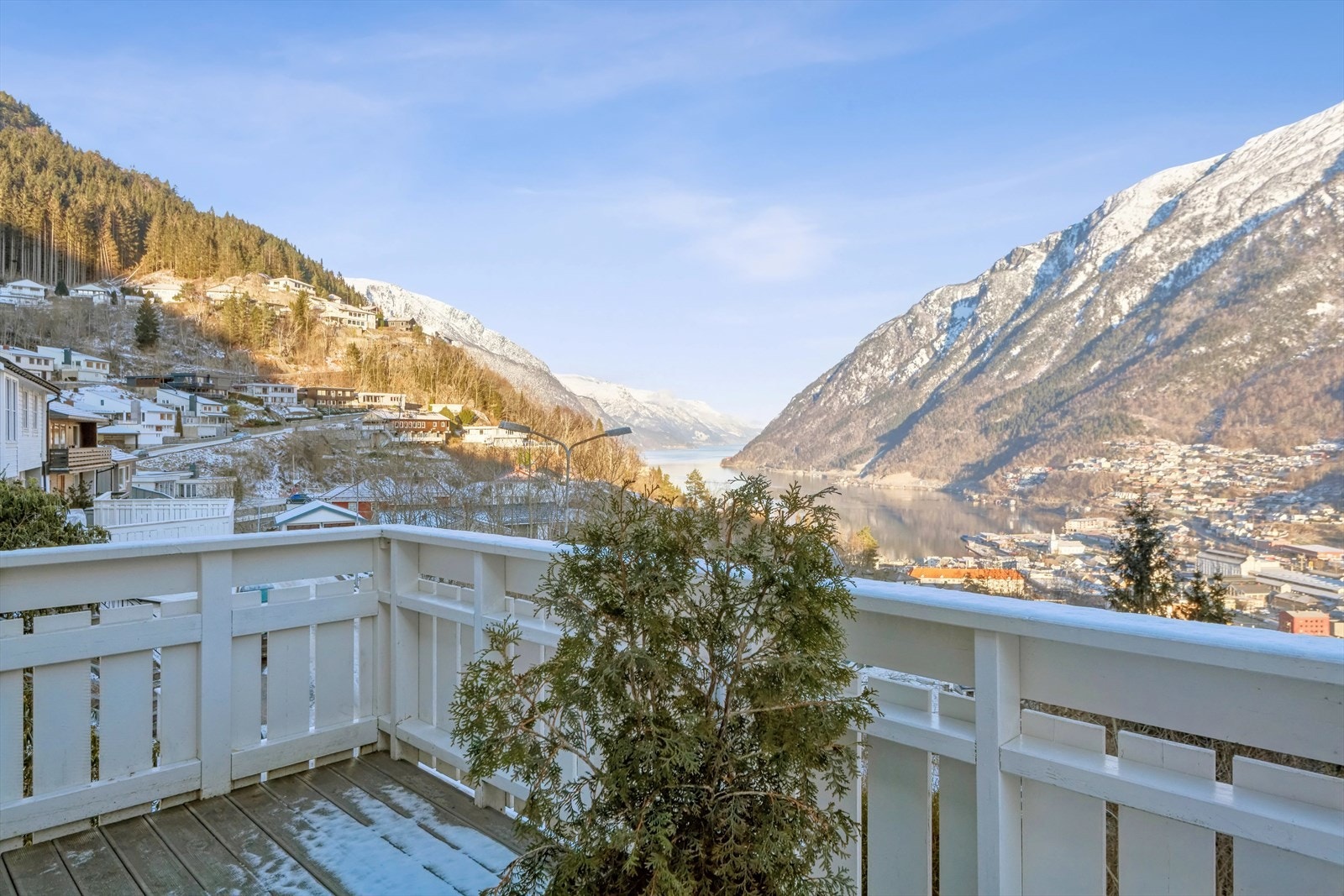 Sjekk den utsikten! Galleribilde