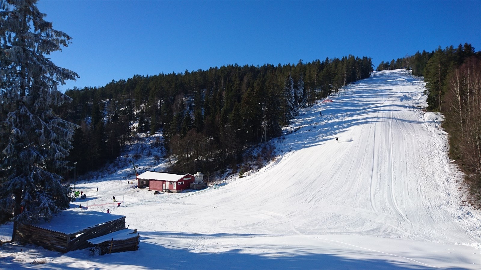 Alpinsenteret i Dalhauglia holder åpent på snørike vinterdager - til glede for store og små Galleribilde
