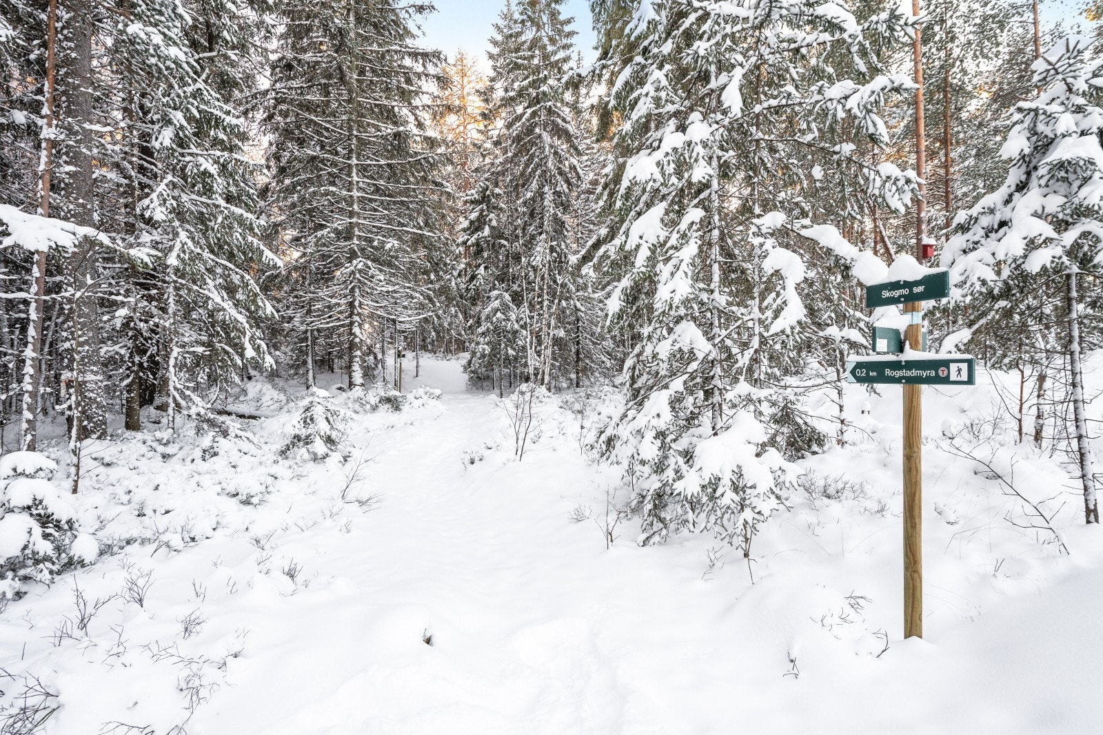 Her har du både lysløyper og skiløyper nærmest rett utenfor døren. Galleribilde