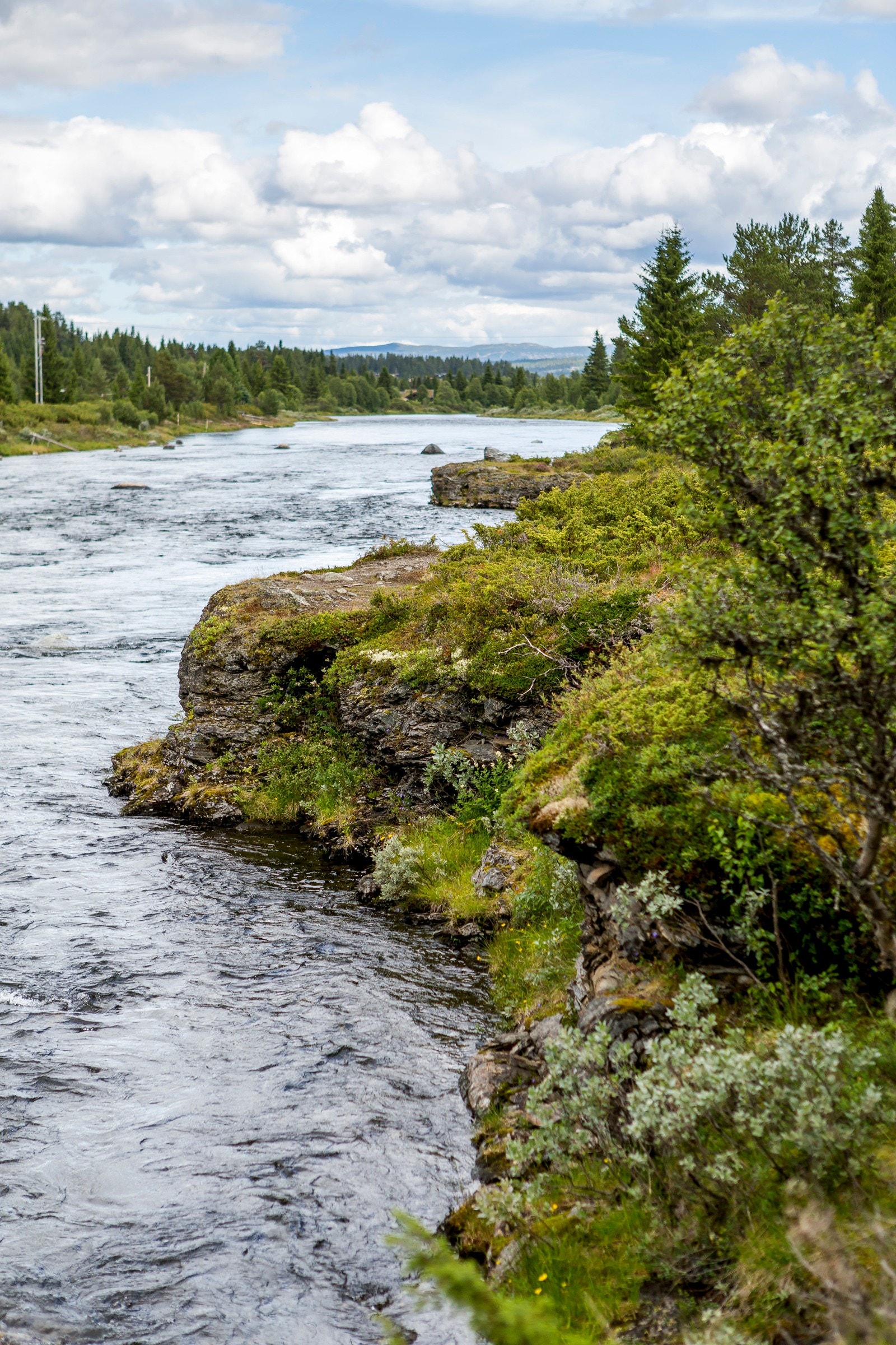Tisleielva er fin å fiske i, husk fiskekort Galleribilde