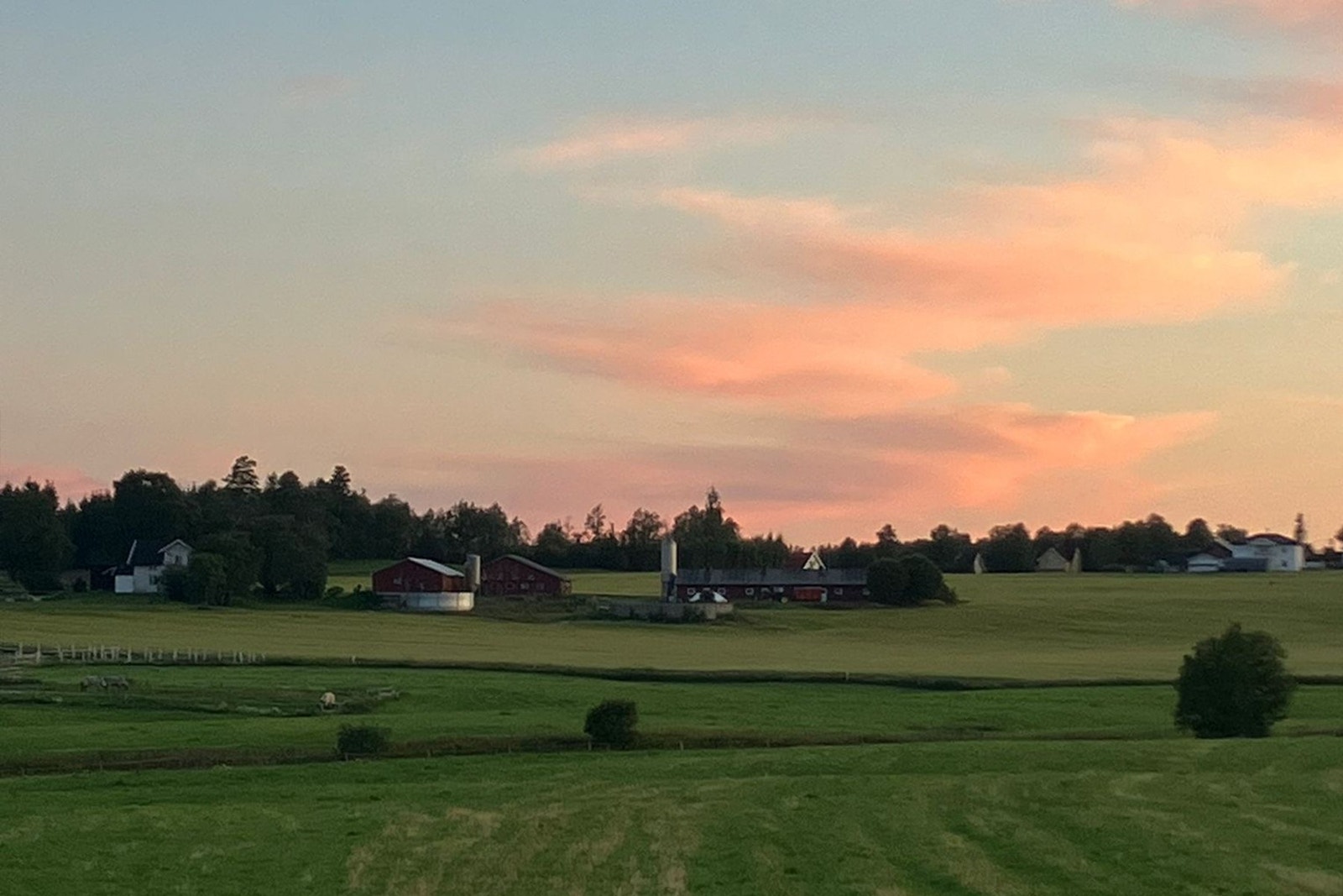 Selges private bilder Galleribilde